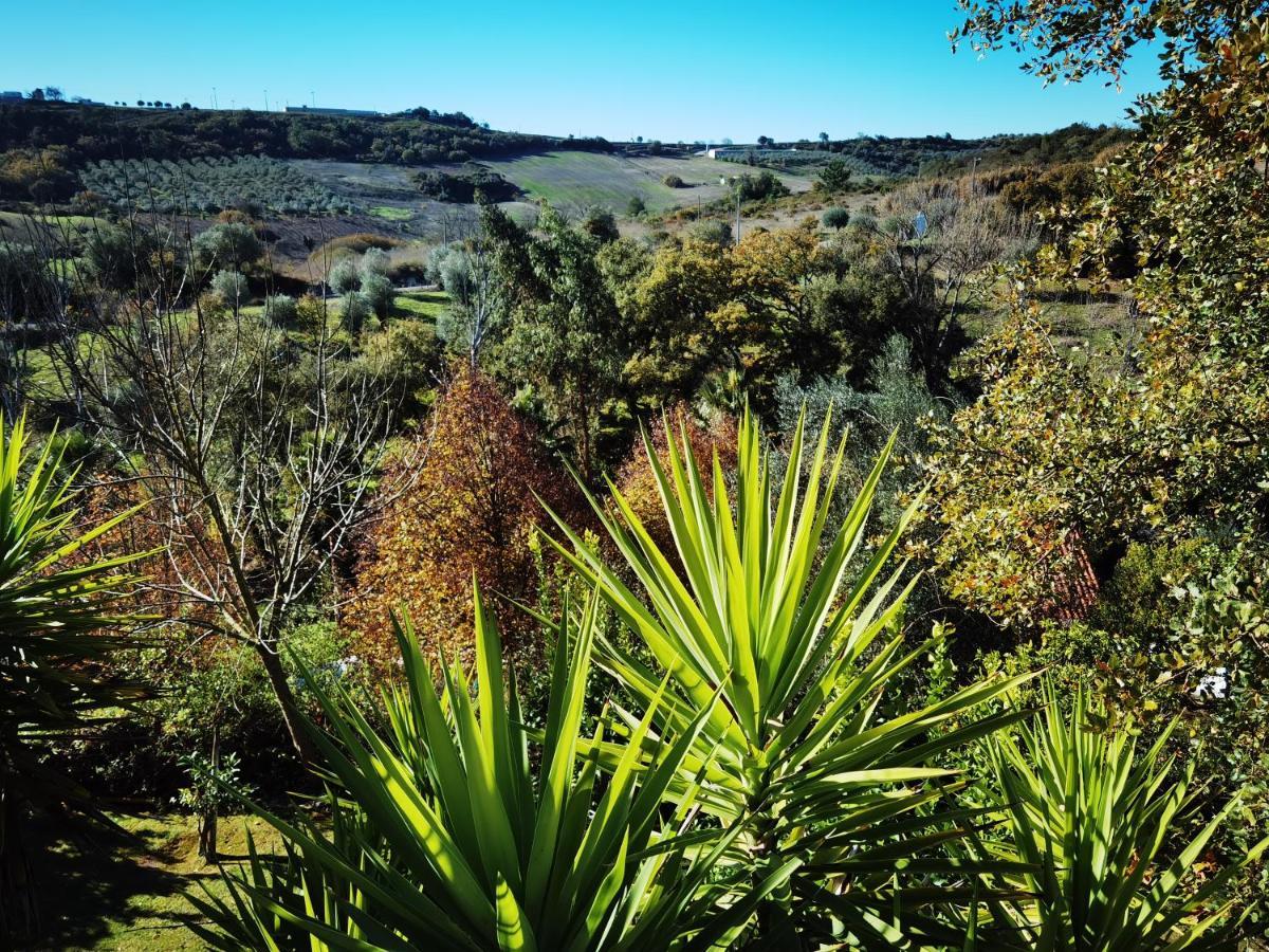 Quinta Do Vale Encantado "The Valley" - Santarem - Portugal Calhariz Ngoại thất bức ảnh