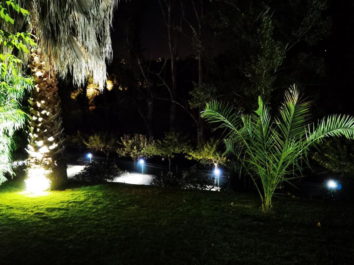 Quinta Do Vale Encantado "The Valley" - Santarem - Portugal Calhariz Ngoại thất bức ảnh