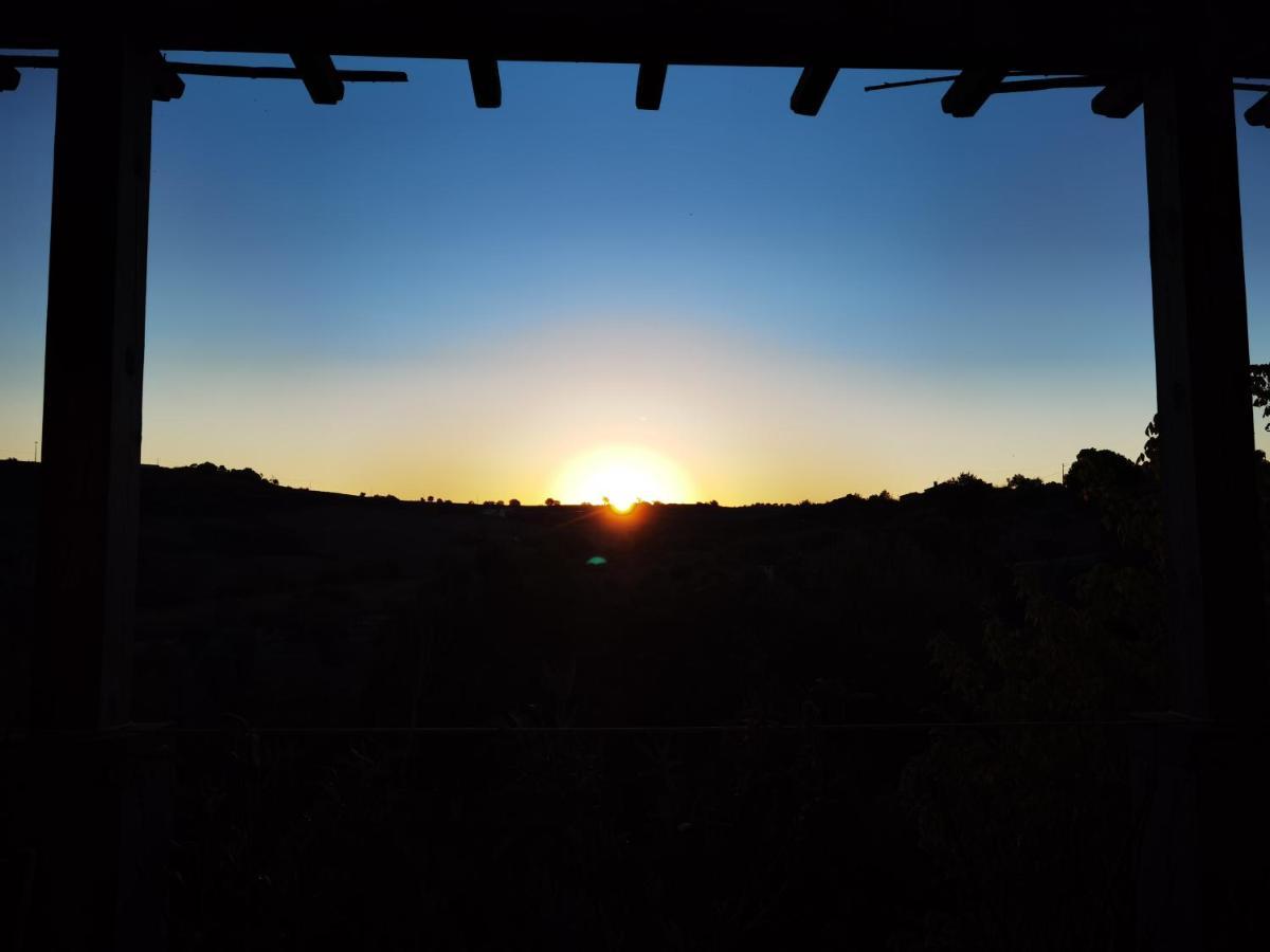 Quinta Do Vale Encantado "The Valley" - Santarem - Portugal Calhariz Ngoại thất bức ảnh