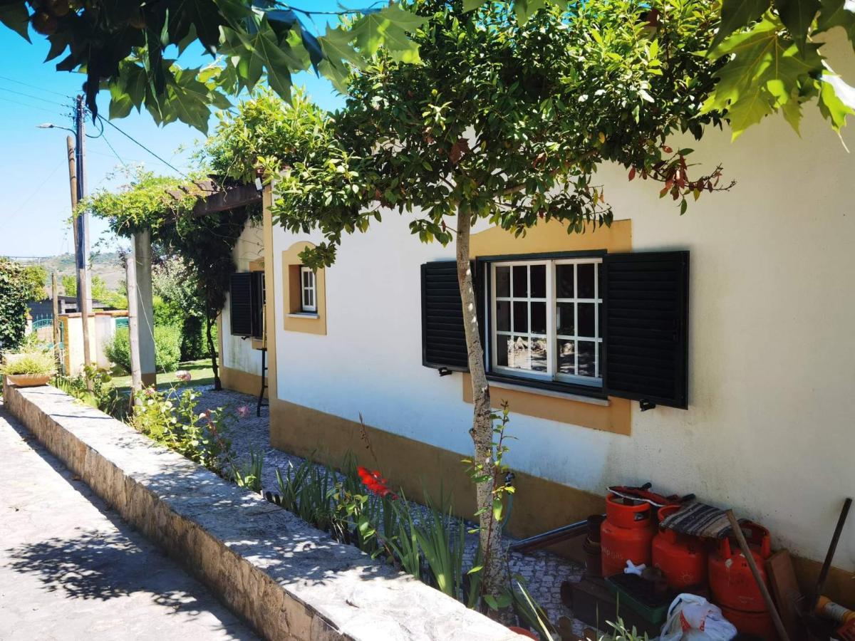 Quinta Do Vale Encantado "The Valley" - Santarem - Portugal Calhariz Ngoại thất bức ảnh