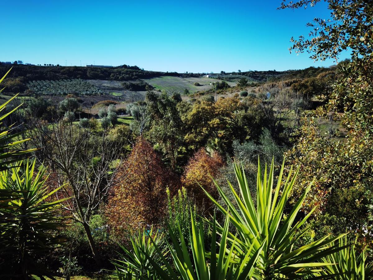 Quinta Do Vale Encantado "The Valley" - Santarem - Portugal Calhariz Ngoại thất bức ảnh