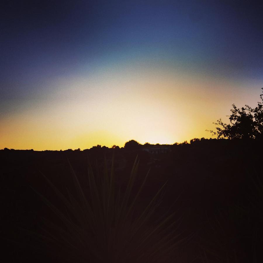 Quinta Do Vale Encantado "The Valley" - Santarem - Portugal Calhariz Ngoại thất bức ảnh