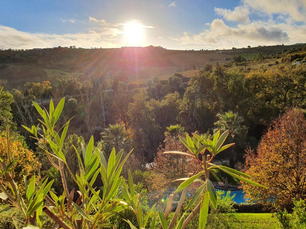 Quinta Do Vale Encantado "The Valley" - Santarem - Portugal Calhariz Ngoại thất bức ảnh
