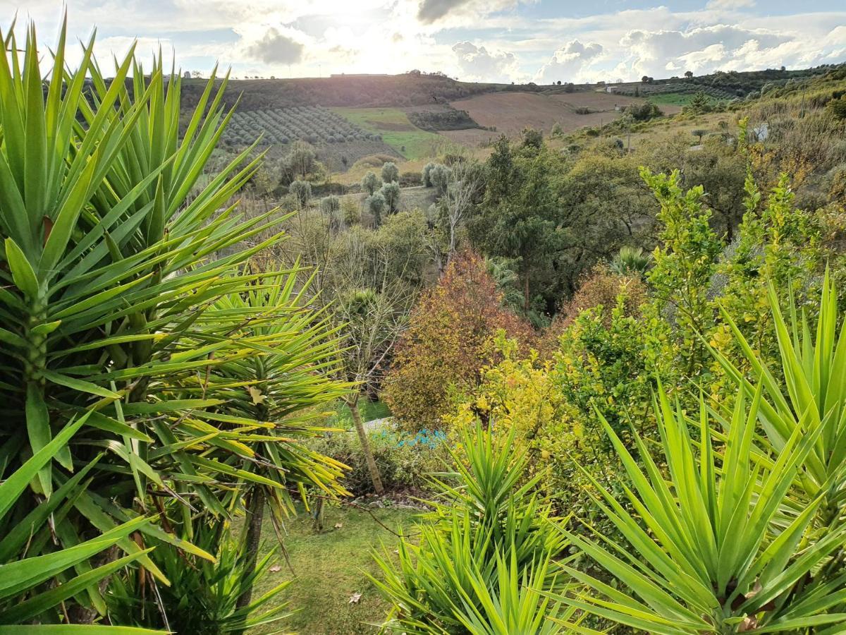 Quinta Do Vale Encantado "The Valley" - Santarem - Portugal Calhariz Ngoại thất bức ảnh